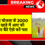 20th Payment Month: किसान योजना के 2000 रुपए खाते में आए की नहीं, घर बैठे ऐसे करें पता